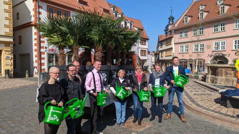 Palmen an der GothaSÜR